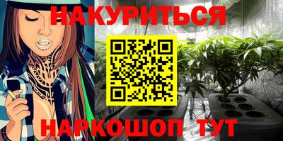 дмт Краснодар