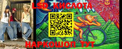 дмт Краснодар